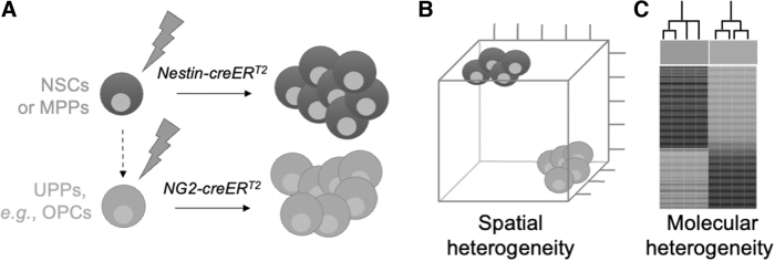 FIG. 4.