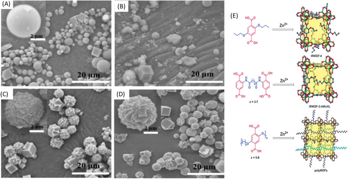 FIGURE 24