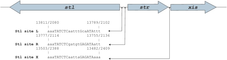 Fig 7