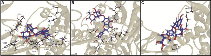 Figure 9.