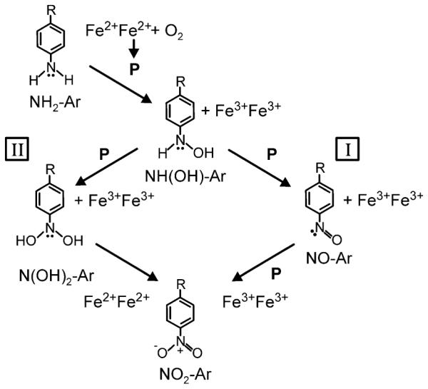 Scheme 2