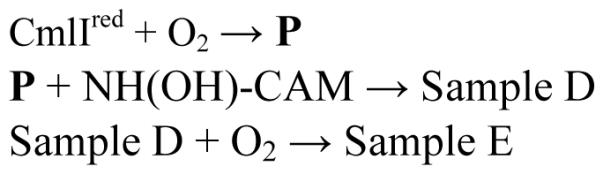 Scheme 5