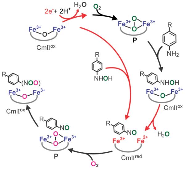 Scheme 7