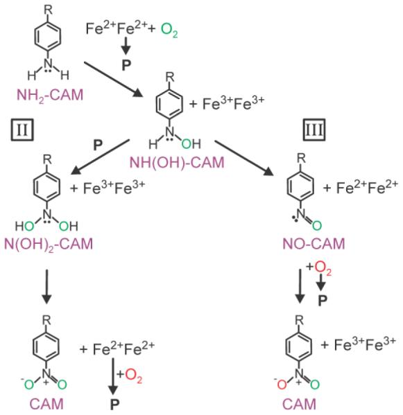 Scheme 8