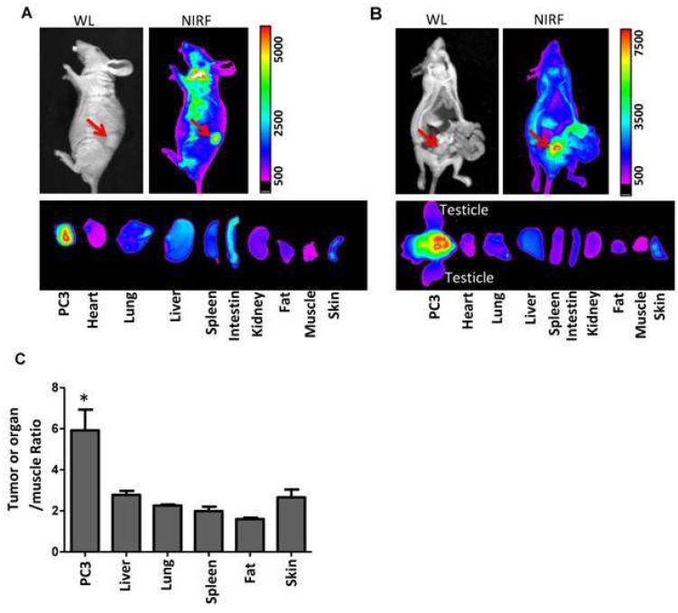 Figure 15