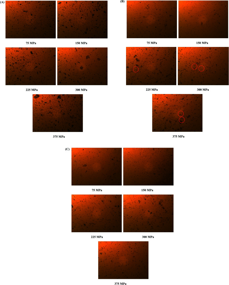 Fig. 13