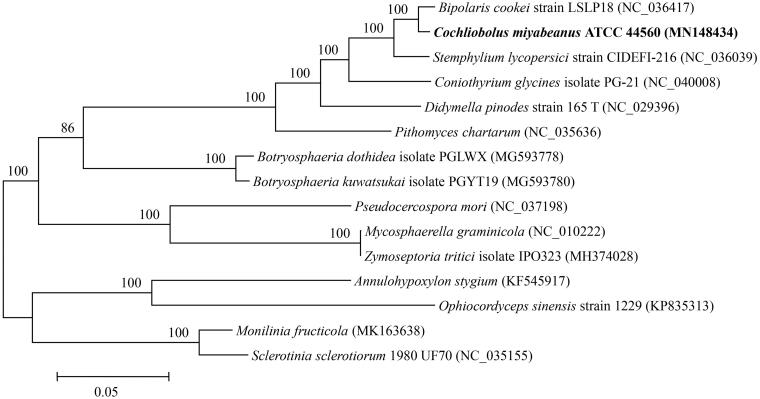 Figure 1.