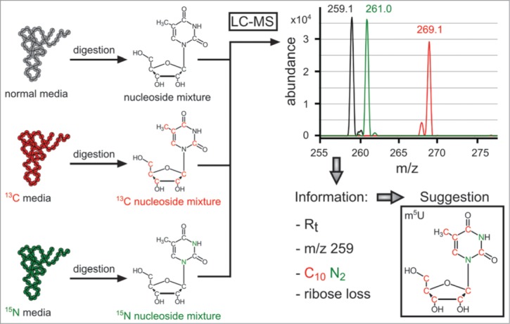 Figure 4.