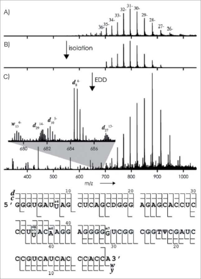 Figure 12.