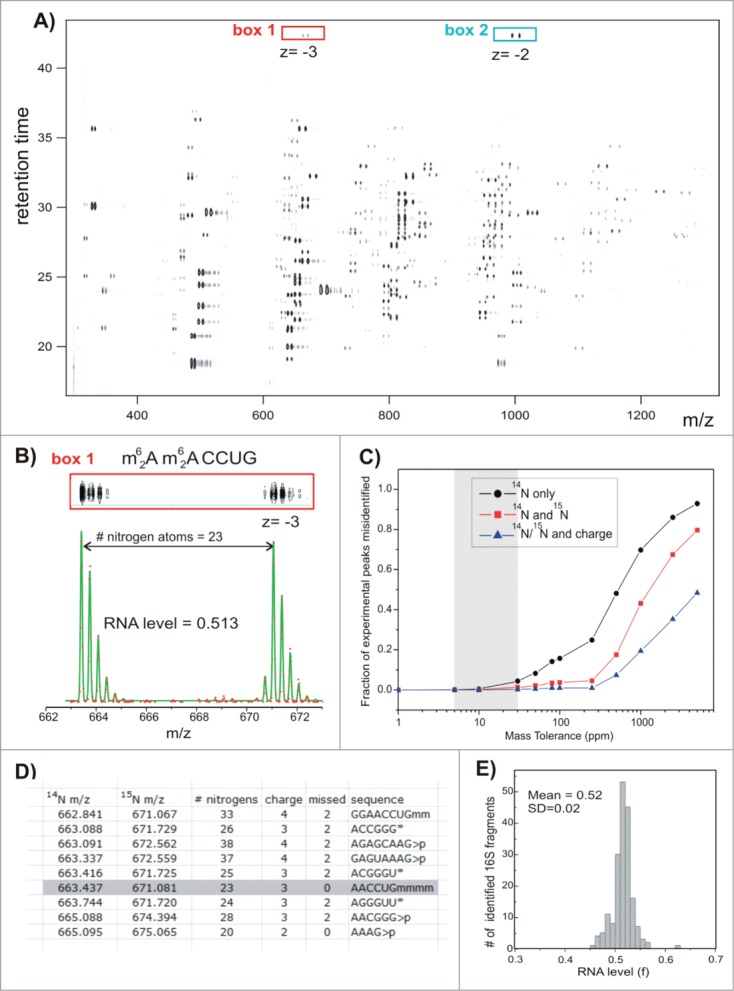 Figure 10. (See previous page).