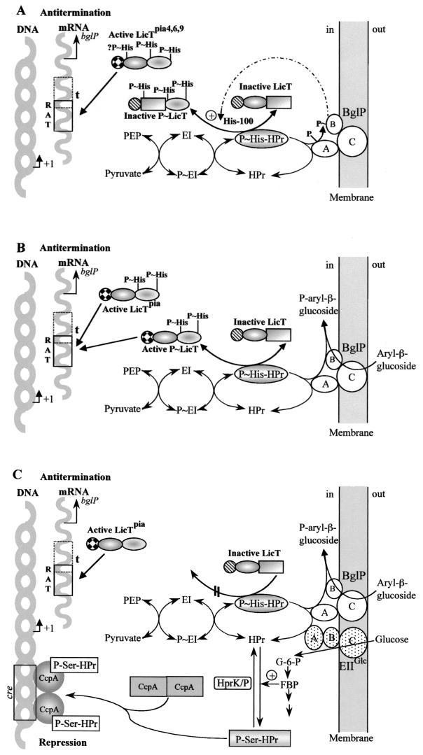 FIG.2.