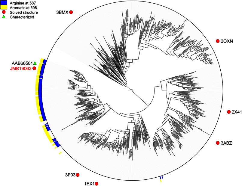 FIGURE 3.