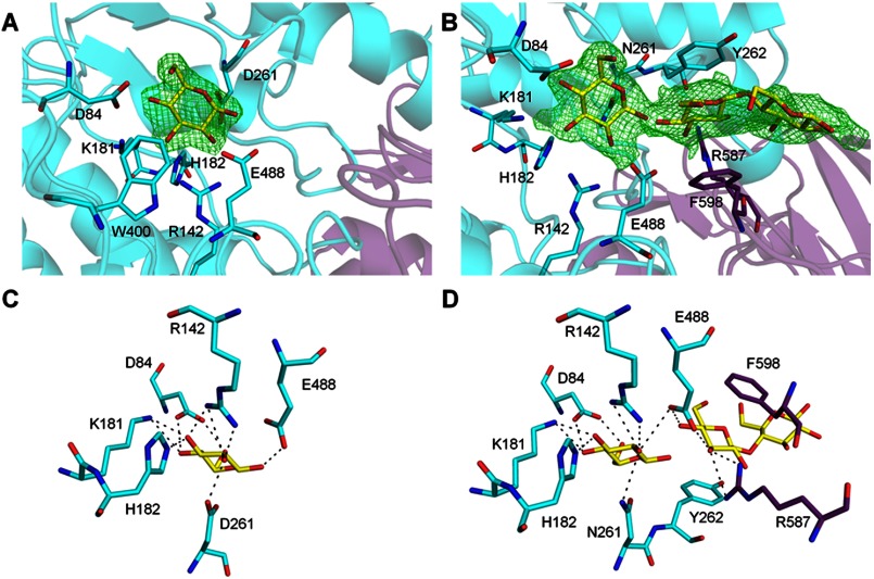 FIGURE 2.