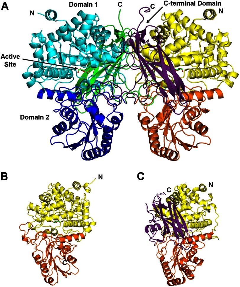 FIGURE 1.