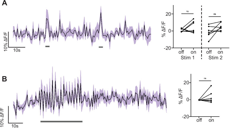 Figure 2—figure supplement 1.