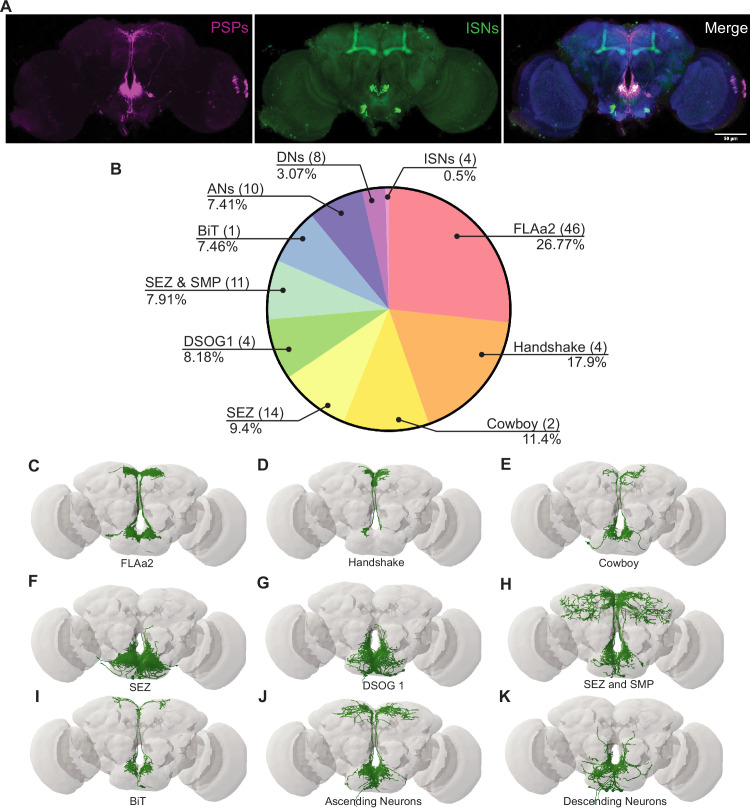 Figure 1—figure supplement 1.