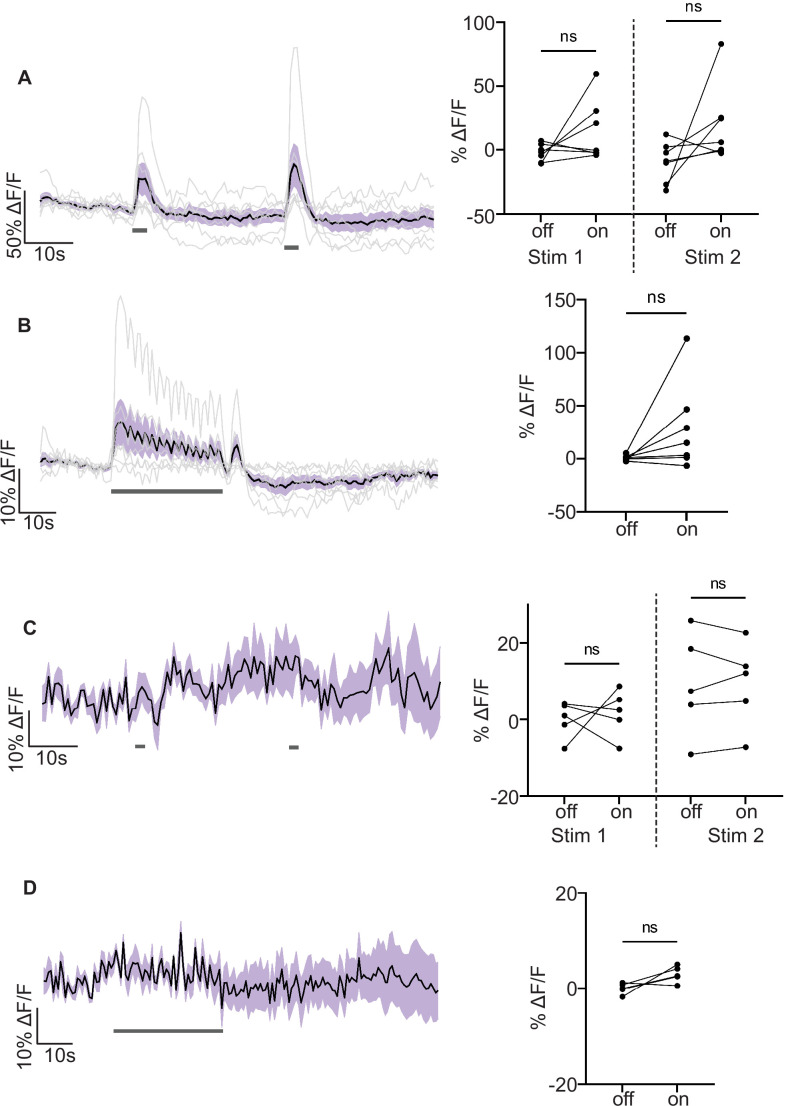 Figure 4—figure supplement 1.