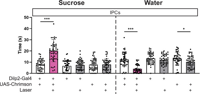 Figure 3—figure supplement 2.