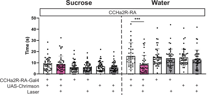 Figure 4—figure supplement 2.