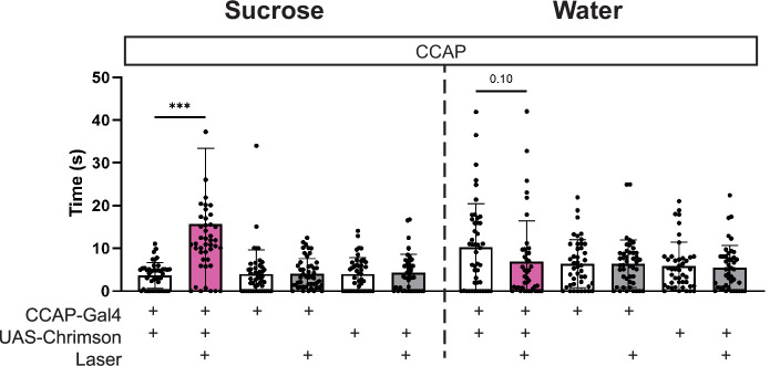 Figure 5—figure supplement 2.