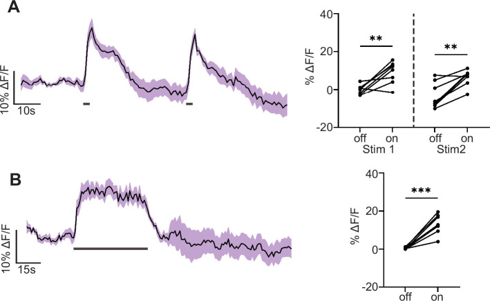 Figure 5—figure supplement 1.