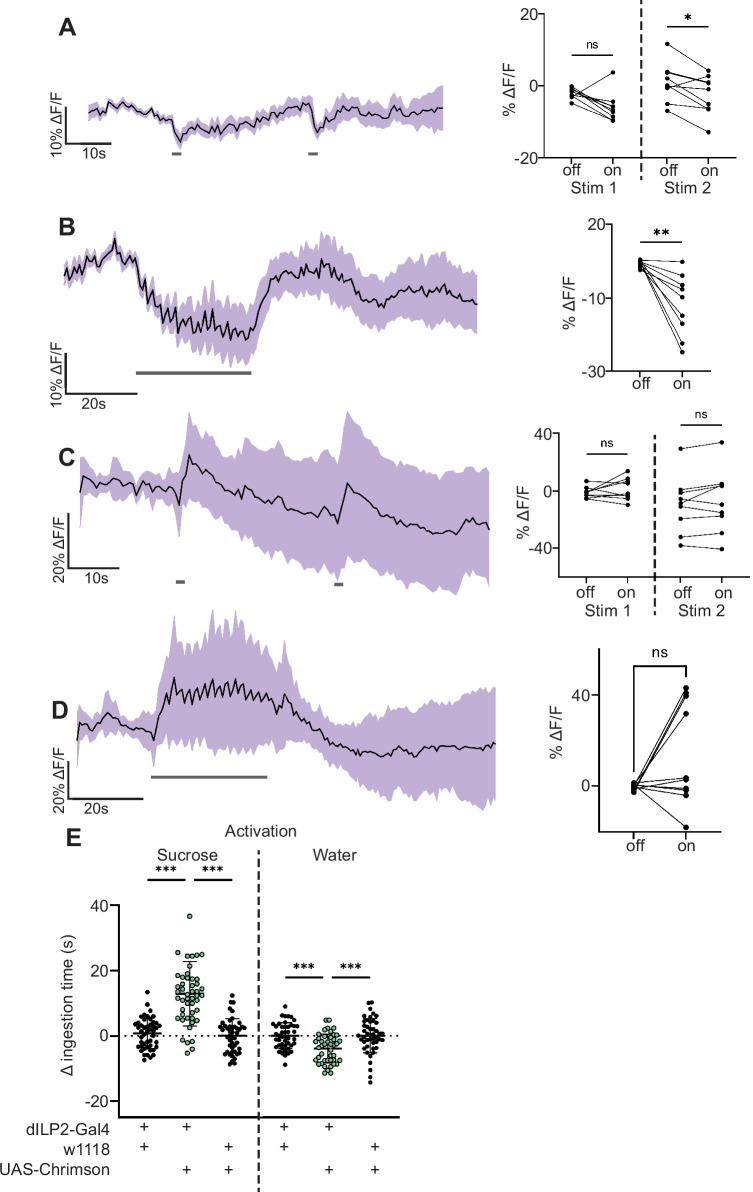 Figure 3—figure supplement 1.