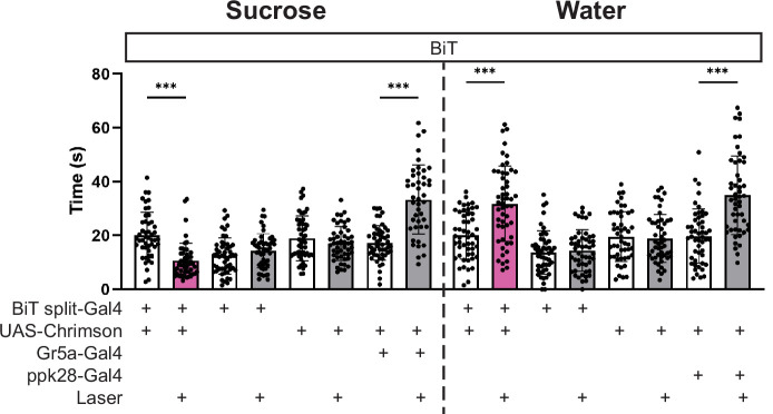 Figure 2—figure supplement 2.