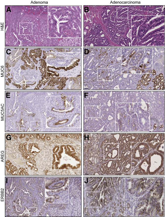 Figure 7