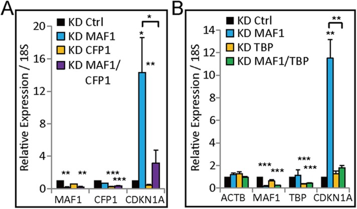 Figure 5—figure supplement 1.