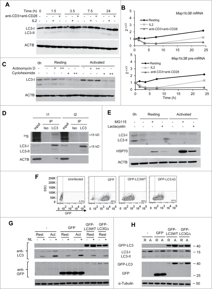 Figure 2 (See previous page).