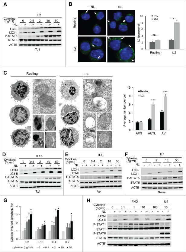 Figure 3 (See previous page).