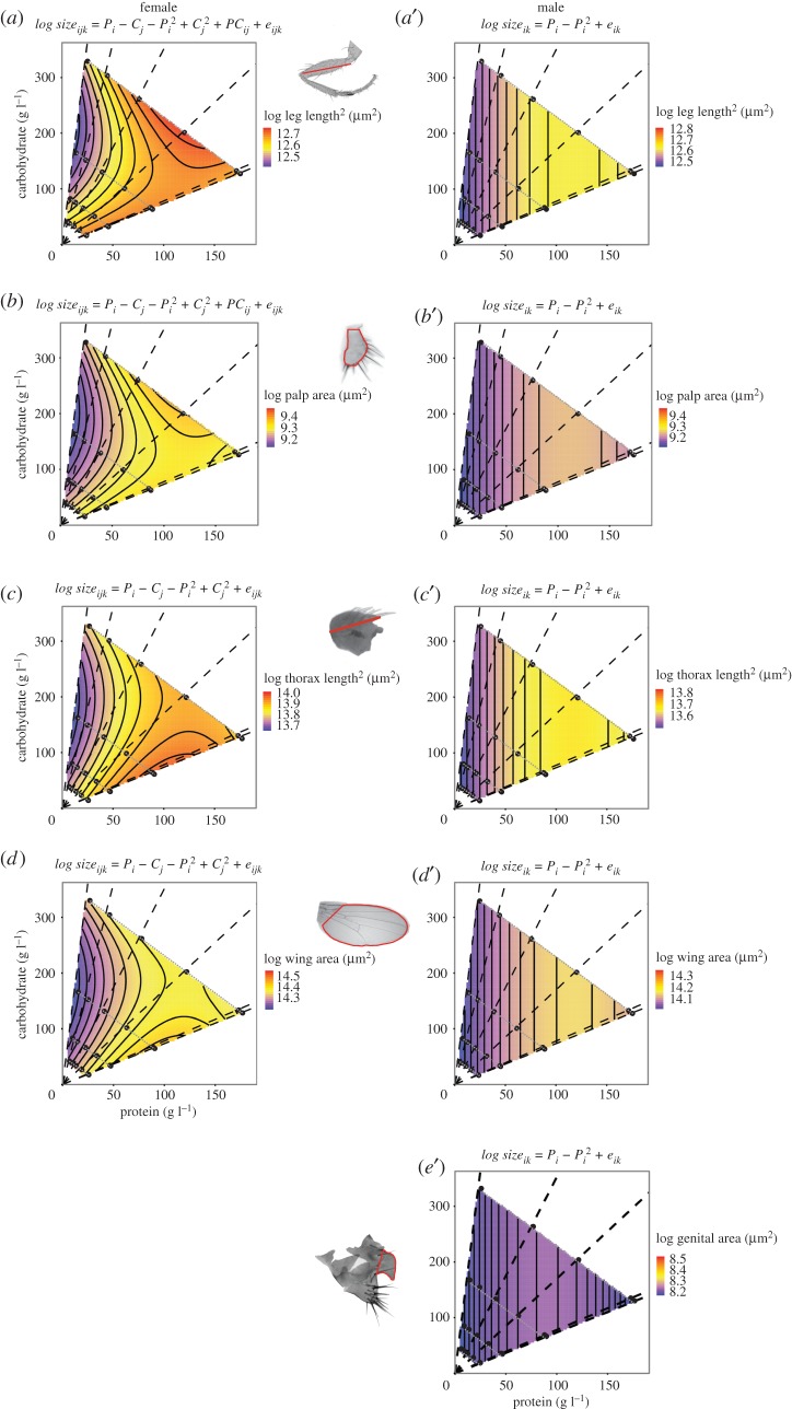 Figure 3.