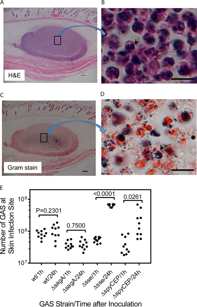 FIG 6