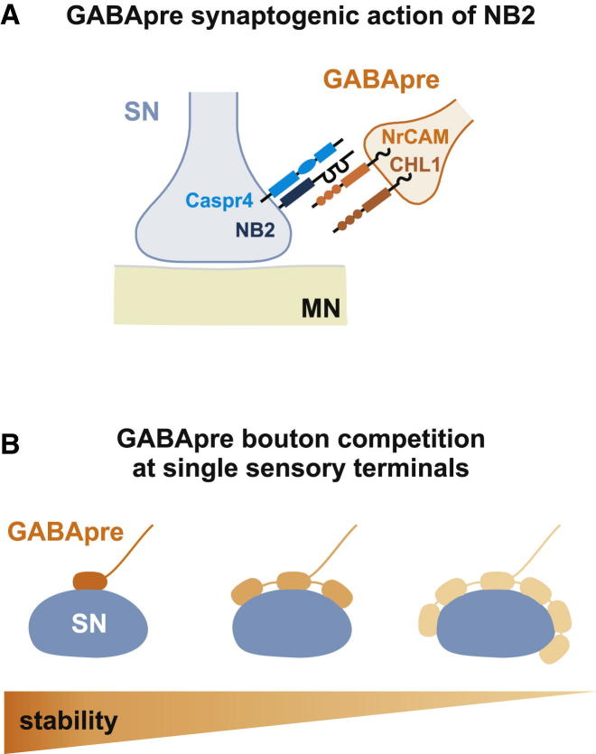 Figure 6