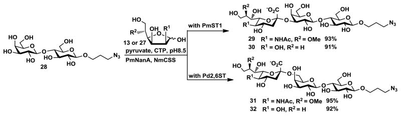 Scheme 6