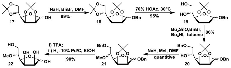 Scheme 3