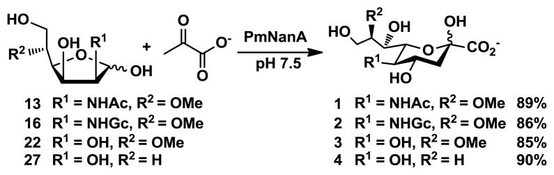 Scheme 5