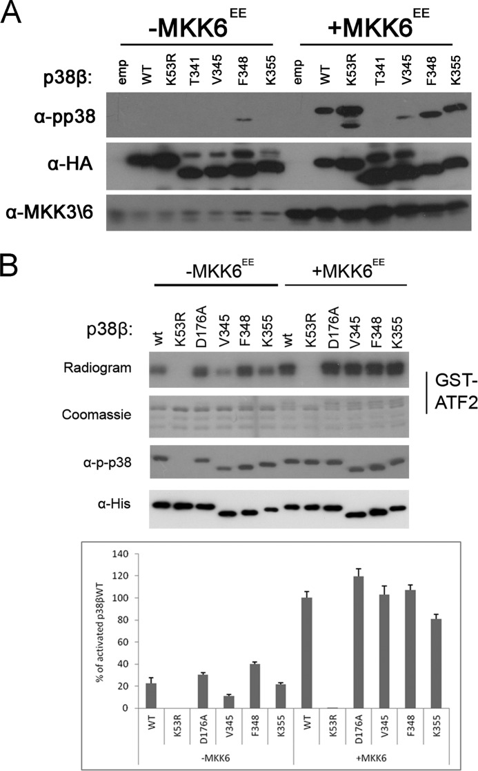 FIGURE 4.