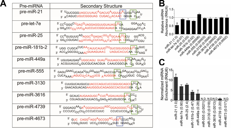 Figure 6: