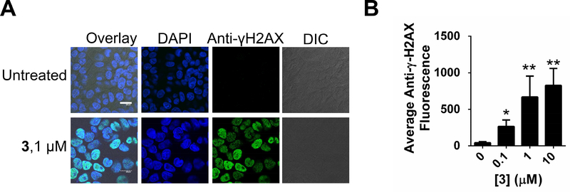 Figure 3: