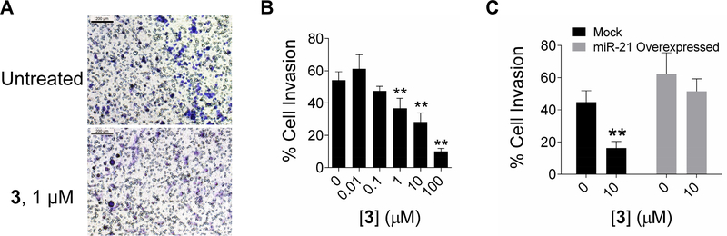 Figure 4: