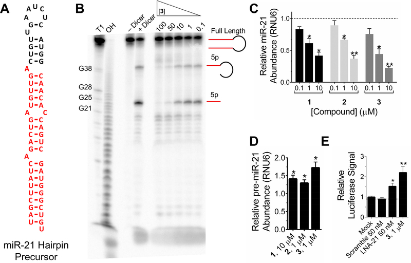 Figure 2: