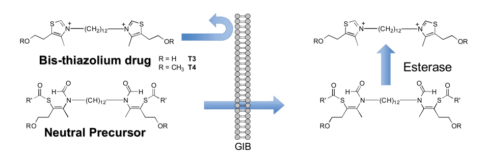 Scheme 4.