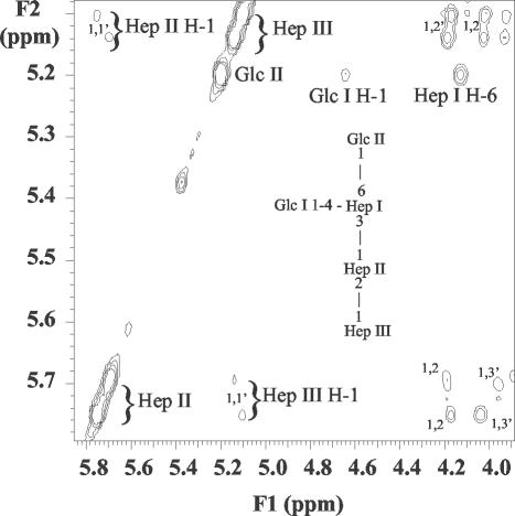 FIG. 4.