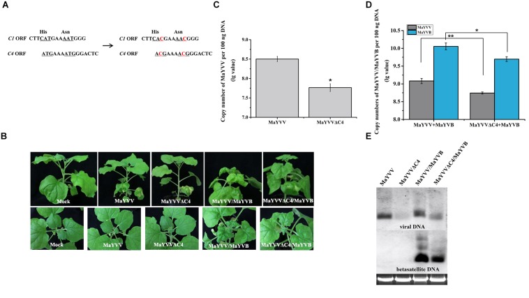 FIGURE 2