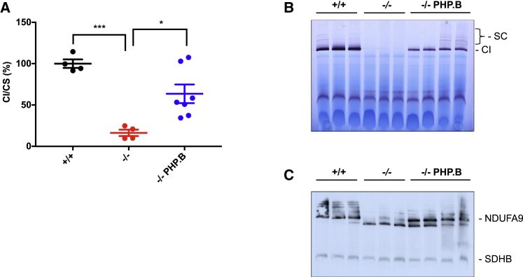 Figure 4