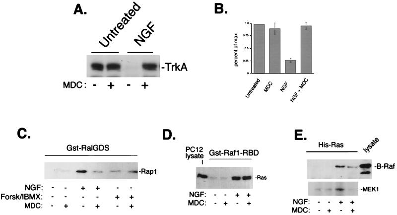 FIG. 8