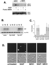 FIG. 9