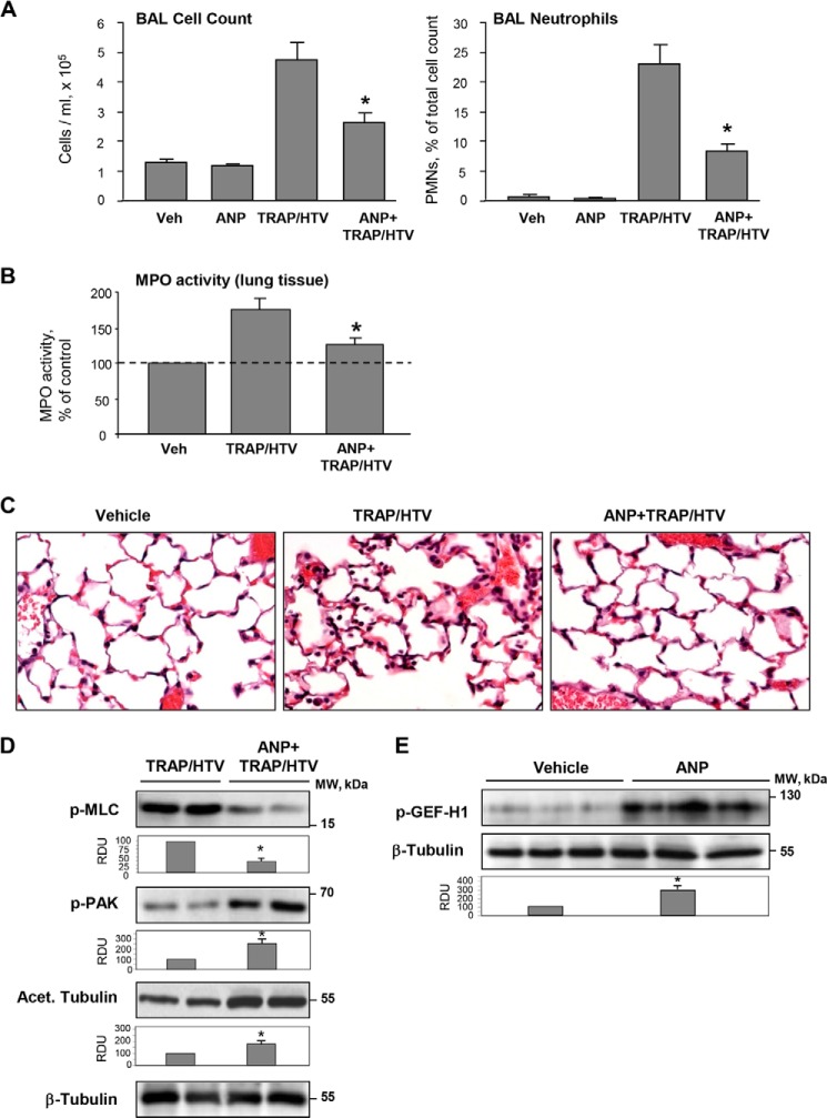 FIGURE 12.