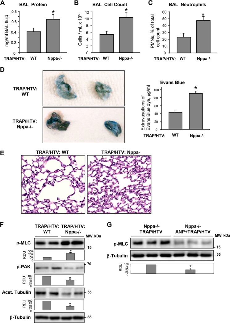 FIGURE 13.